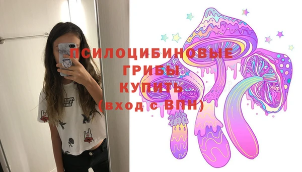 гидра Волоколамск