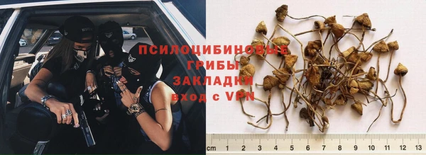 хмурый Балабаново