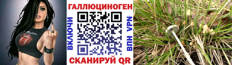 Галлюциногенные грибы GOLDEN TEACHER  shop телеграм  Давлеканово  купить  цена 